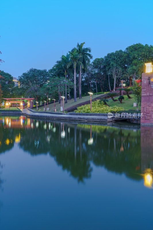 佛山千灯湖公园树林湖泊城市夜景灯光