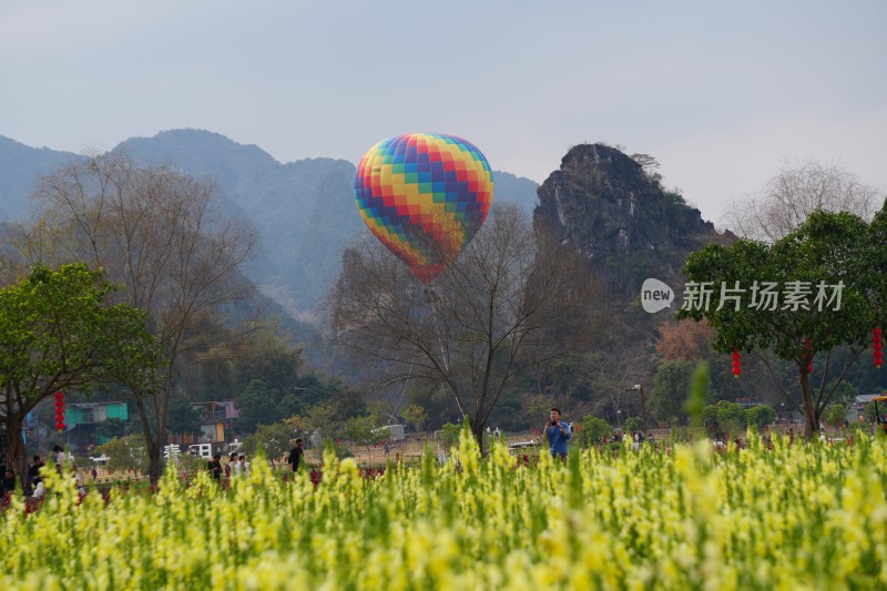 金鱼草缤纷花海