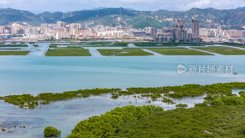 惠州盐洲海洋湿地公园-红树林湿地风光