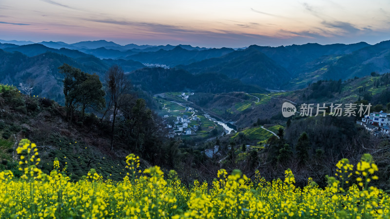 中国徽派建筑油菜花田