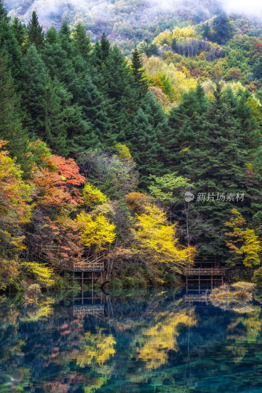 四川阿坝州九寨沟秋色静谧湖光金秋倒影色彩