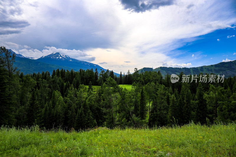 夏季阿勒泰喀纳斯景区