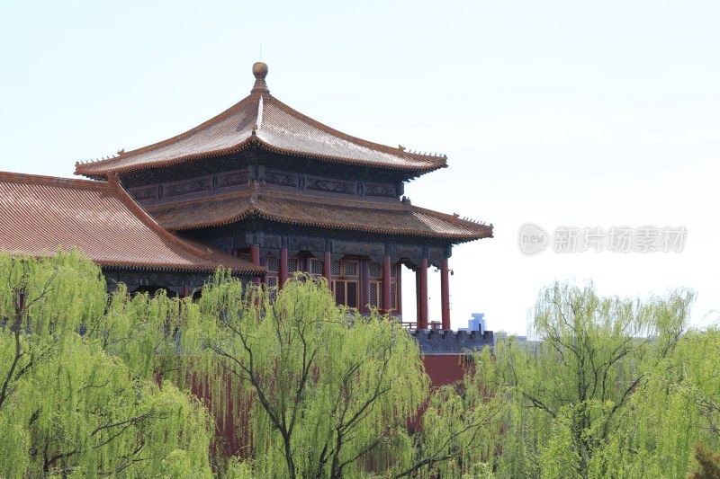 北京紫禁城的春天美景