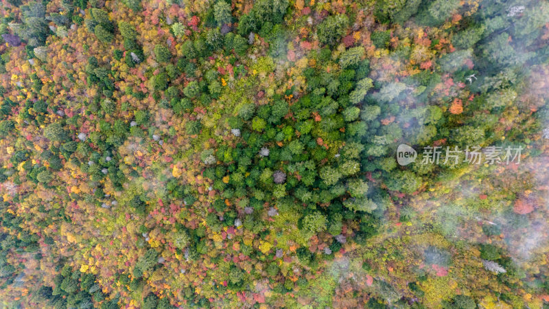 阿坝州黄龙风景名胜区秋色