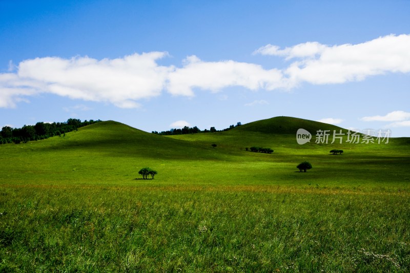 内蒙,坝上,乌兰木统,乌兰木统草原,红山,军马场,草原,草地,