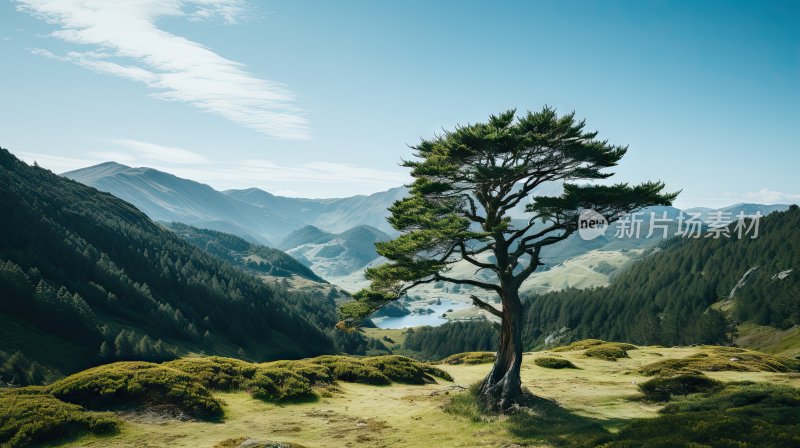 大自然绿色草原和高山风景