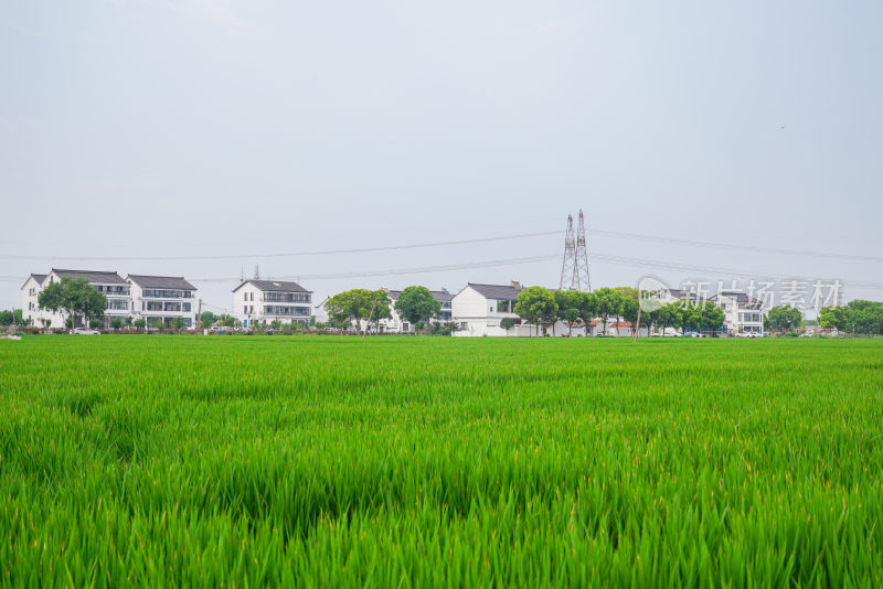 江苏苏州乡村风光