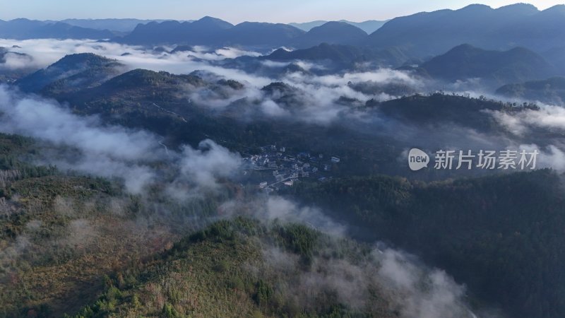 重庆酉阳：雾中枫叶红似火