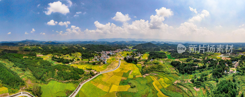 美丽乡村田园金黄稻田航拍全景图