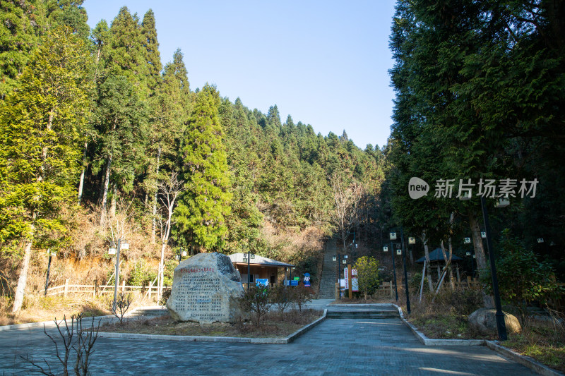 浙江丽水景宁刺木山风景