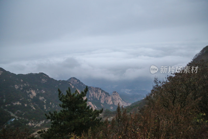 云海 山峰 山峦 清晨 泰山 壮观