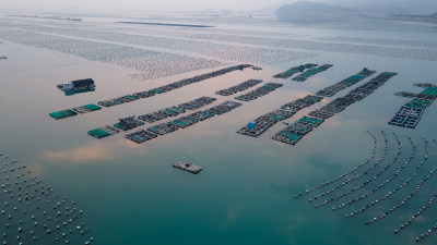 福建海水养殖场