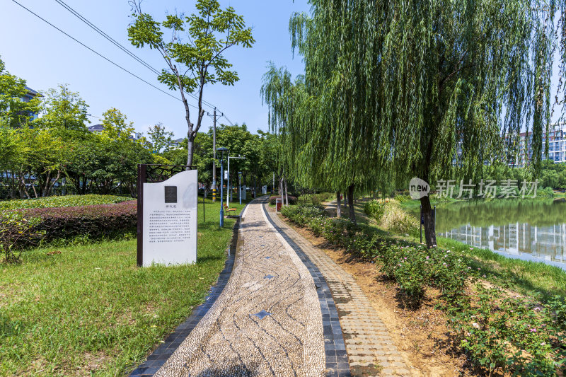 武汉洪山区南湖幸福湾公园风景