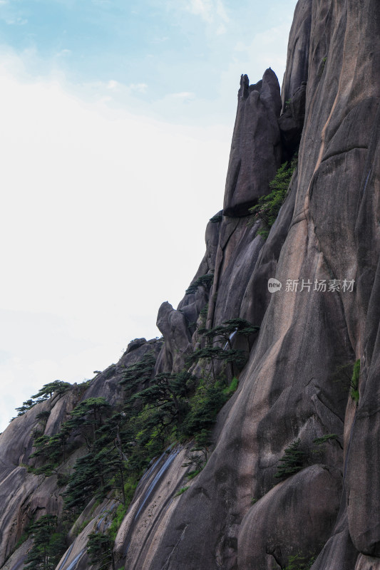 春天黄山自然风光