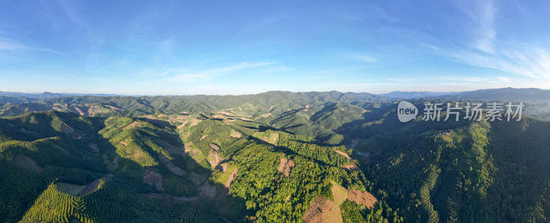 航拍阳光照耀下的广阔山脉山林全景图