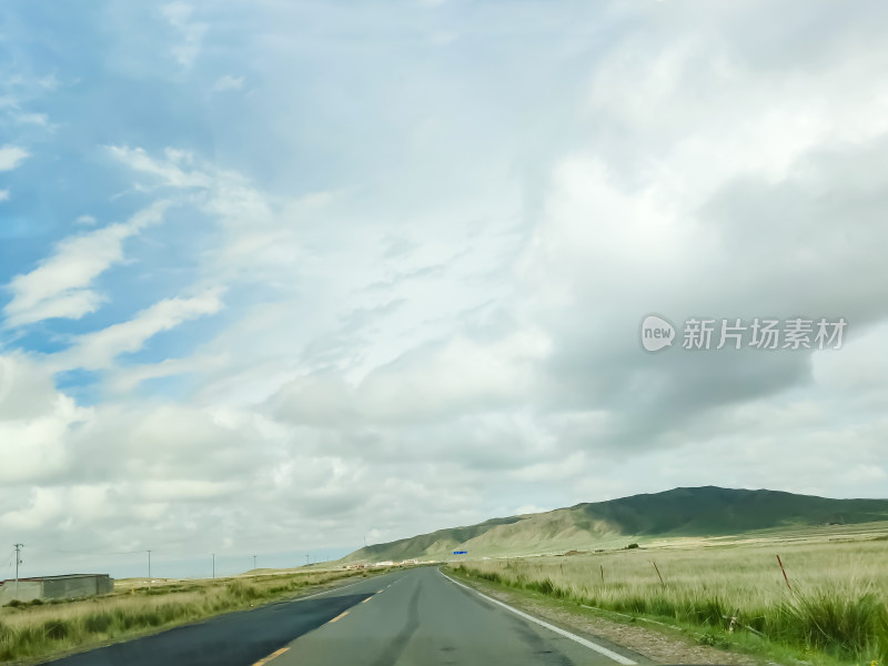 六月的青海湖风景