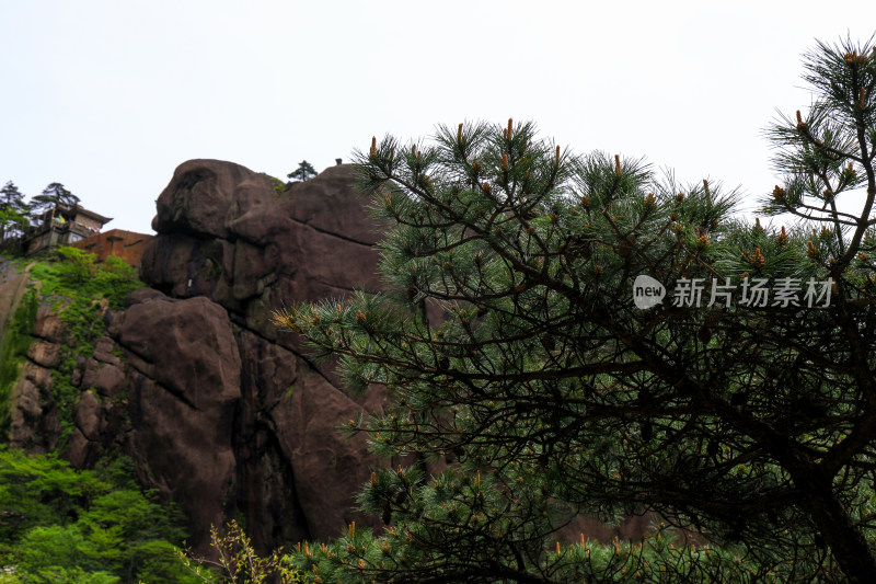 黄山登高自然风光