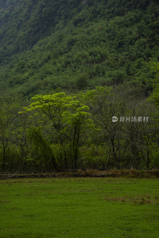 桂林山水田园小镇风光