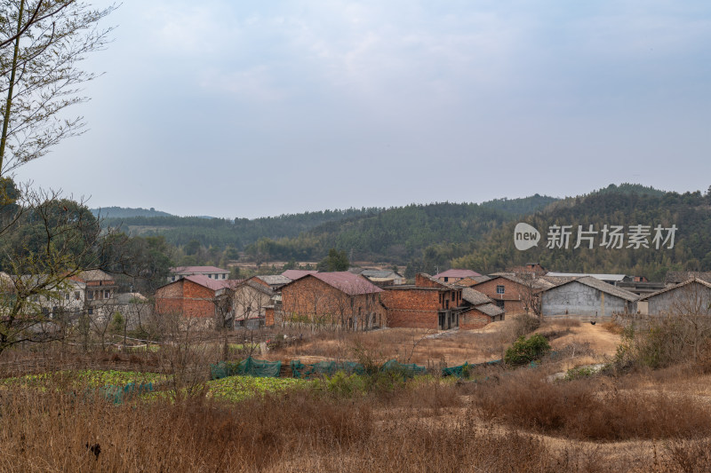 乡村风光下的砖房建筑群落