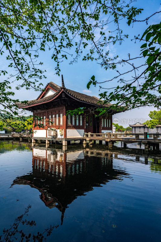 杭州西湖曲院风荷景观