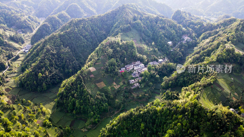 大山山峰农村农业农民茶园