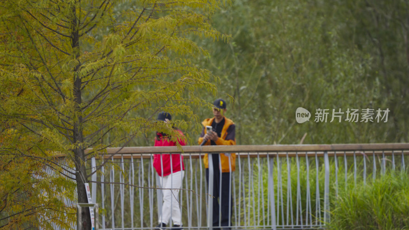 深圳头陂公园秋季实拍