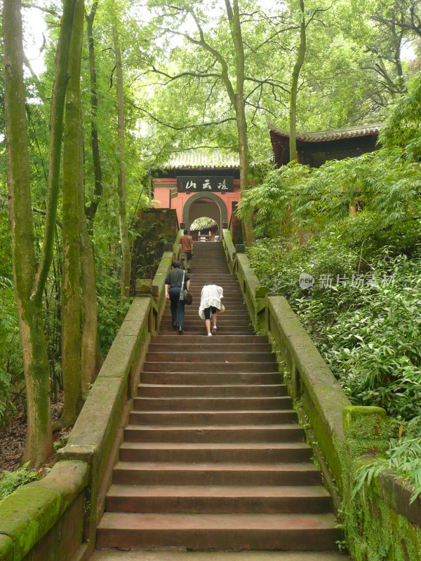 植物，风光