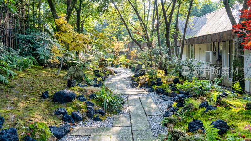 秋天成都塔末餐厅的环境