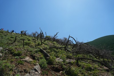 五台山南台风光