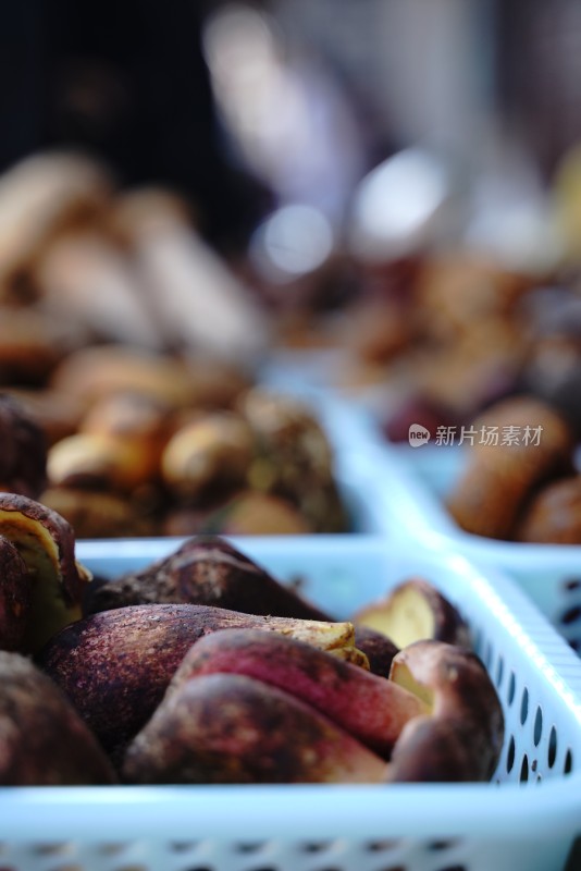 市场摊位上摆满各类新鲜野生菌