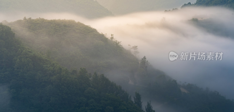 航拍山间流动的雾气