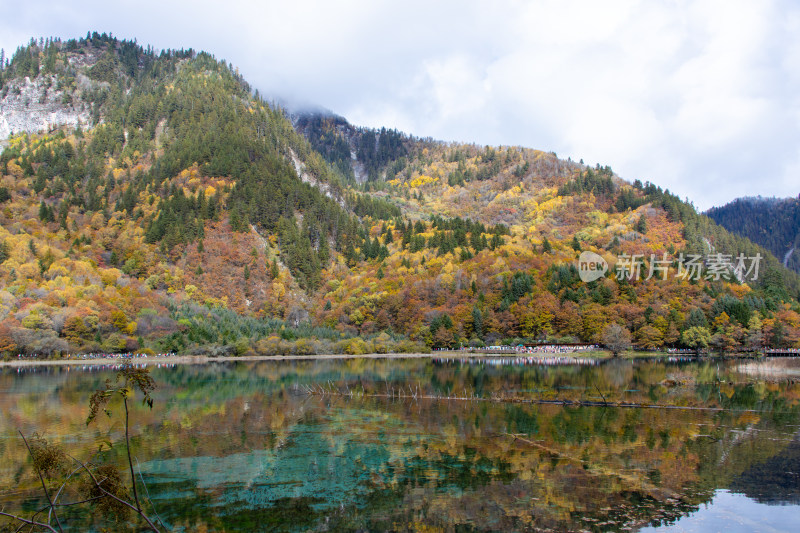 九寨沟五花海秋色，湖光山色层林尽染