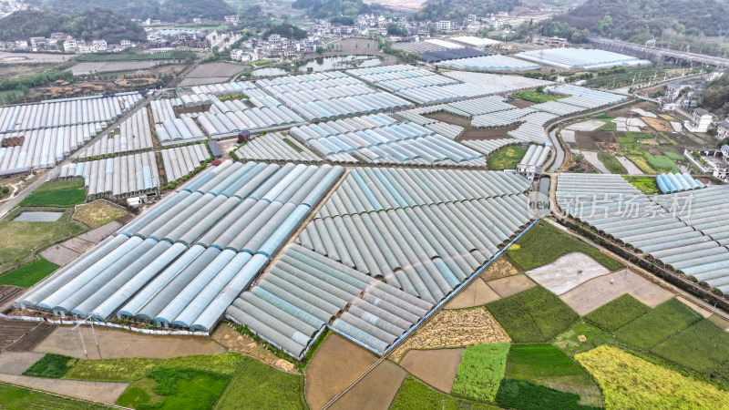 航拍农业大棚基地 农业产业乡村振兴