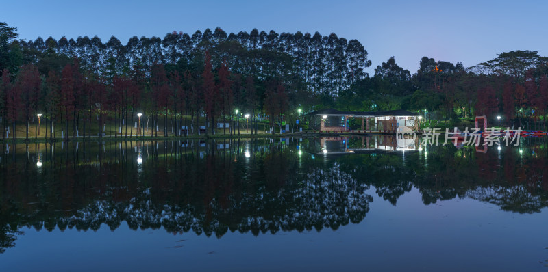 佛山千灯湖南海活水公园落羽杉林黄昏夜色