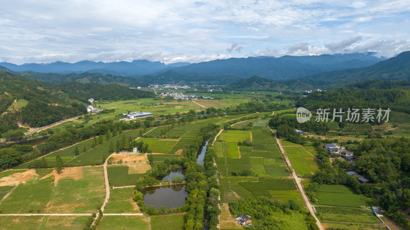 航拍武夷山绿色农田与茶园