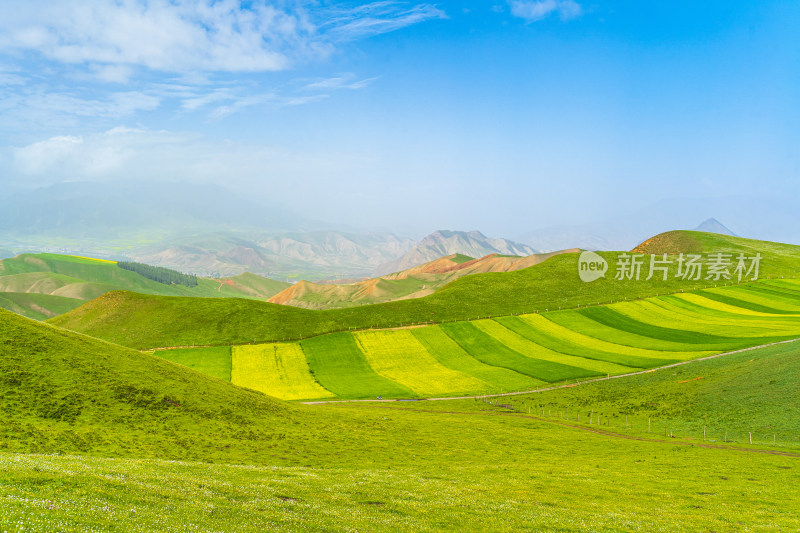 青海祁连县卓尔山景区，夏季起伏的高山牧场