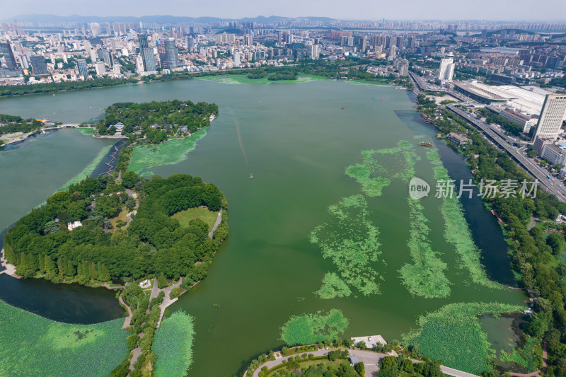 江苏南京玄武湖城市风光航拍摄影图