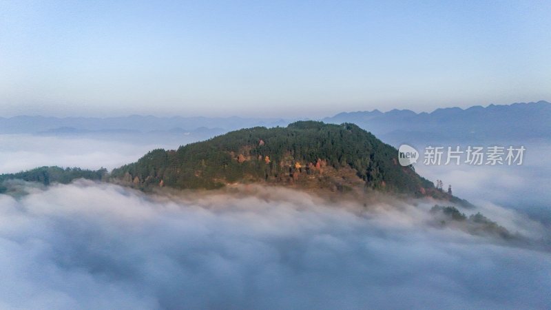 贵州沿河：红花盖下雾正浓