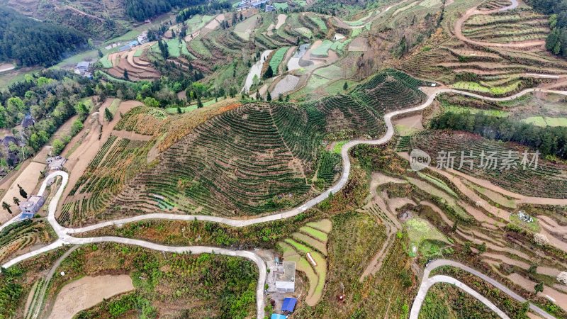 重庆酉阳：青山雾漫别样美