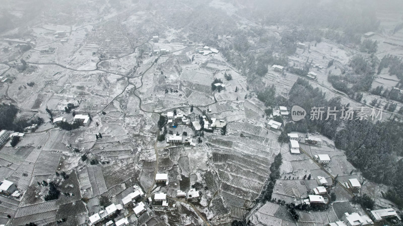 农村村庄里的大雪寒潮天气