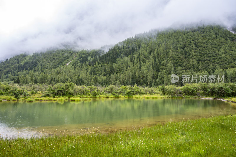 四川四姑娘山双桥沟自然风景