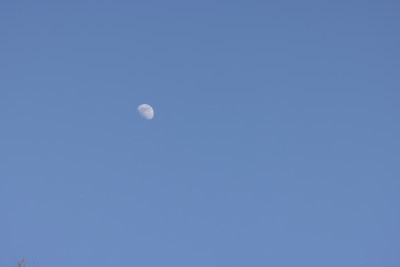 月亮在蓝天里的低角度视图