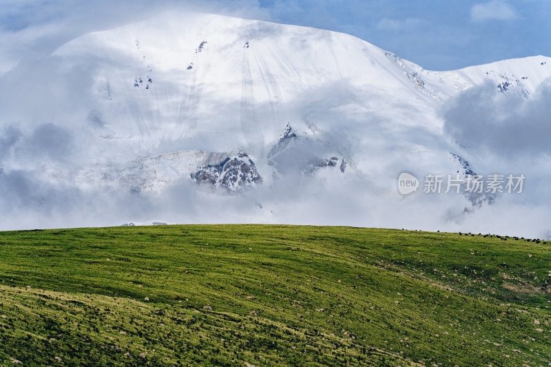 青海阿尼玛卿山国家地质公园雪山草地