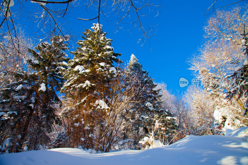 黑龙江 双峰林场 雪乡