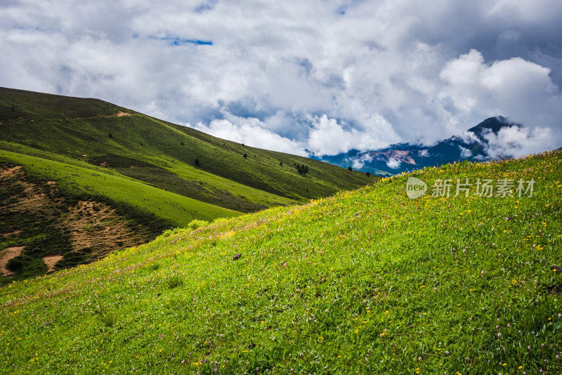 云雾缭绕的高山草原