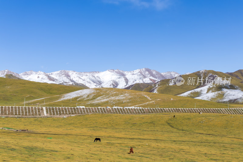 青藏高原青海祁连山脉天境祁连雪山雪景