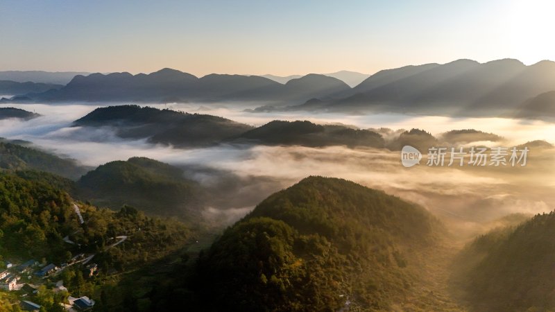 重庆酉阳：霜降后的山坡“红似火”