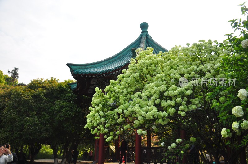 长沙风光  长沙街景 长沙城景  自然风景