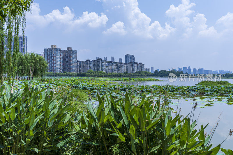 武汉洪山区南湖幸福湾公园风景