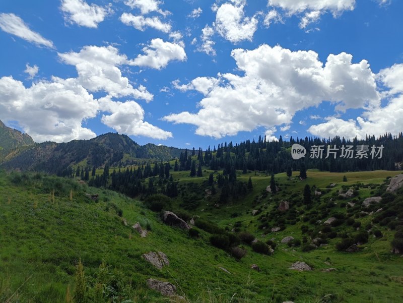 蓝天白云下的山林草地风景